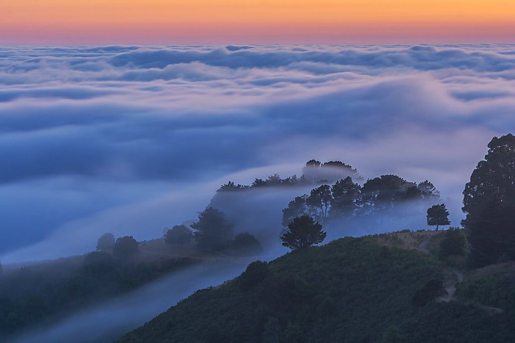 Low fog flowing between wooded California hills beneath a pale sky